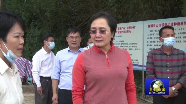 李莉强调:加大土地流转力度,加快发展现代农业,促进农民富裕富足