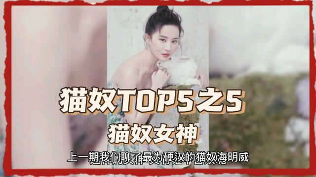 猫奴TOP5之最后一期,最美的猫奴女神