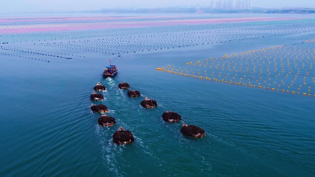 海水养殖绿色生态