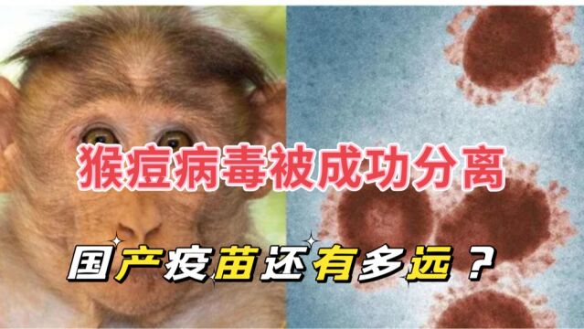 武汉生物制品研究所成功分离猴痘病毒,对疫情防控有哪些意义?