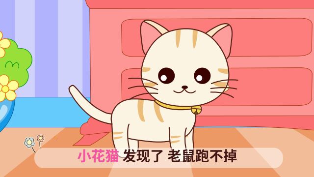 起司公主 小花猫