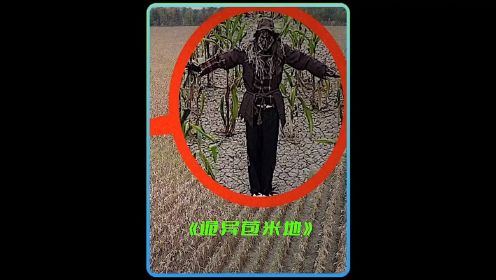 无人机在王奶奶家的苞米地里发现了可怕的怪物