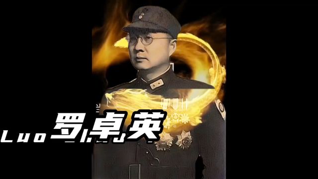 中国远征军高级将领罗卓英