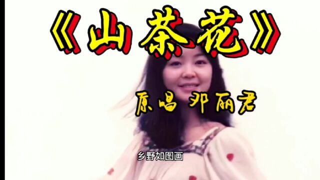 经典老歌,百听不厌.《山茶花》完整版,演唱:邓丽君