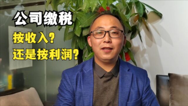 公司缴税是按收入?还是按利润?缴哪些税?