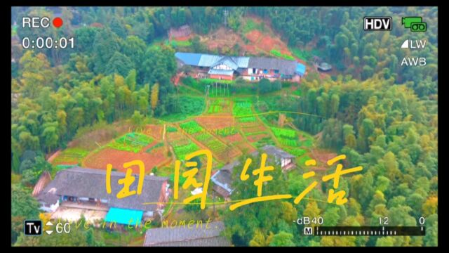 农村田园生活