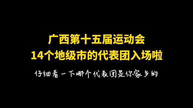 广西第15届运动会,14个地级市代表团入场仪式!哪个是你家乡的?