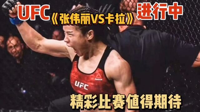 UFC281官方正直播:卡拉vs张伟丽中文高清视频观看主赛全程直播