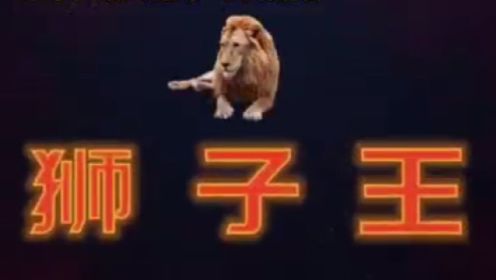 马丰小学501班+英语配音The Lion King
