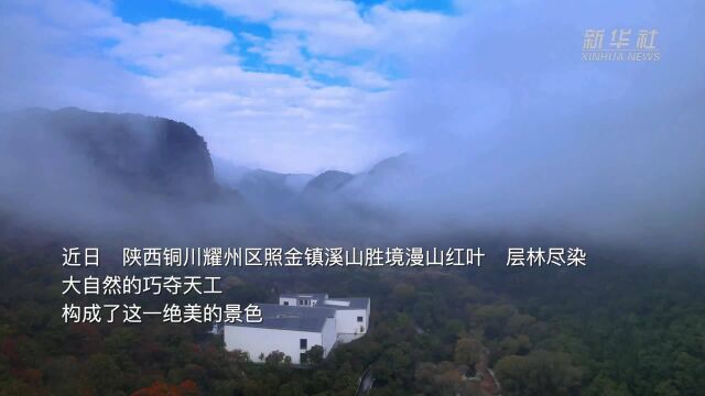 千城胜景|美在耀州之溪山红叶