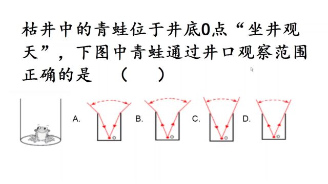 初中物理:青蛙坐井观天,哪个视线是井口观察的范围?