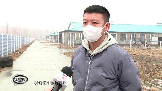 【新闻】达家沟镇惠恒牧业:现代化养殖助企业健康发展