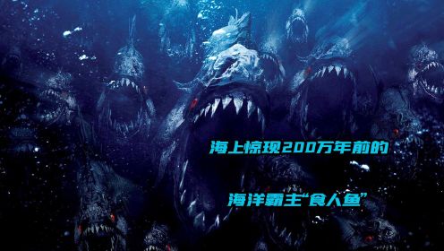 《食人鱼3d》完整版丨200万年前的海洋霸主食人鱼竟出现在了现代海滩上