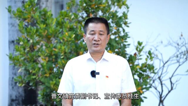 普文镇党委副书记、宣传委员 桂生