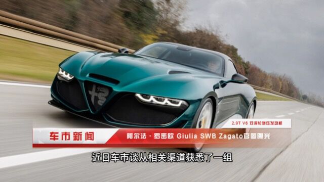 为百年而生,阿尔法罗密欧 Giulia SWB Zagato官图曝光