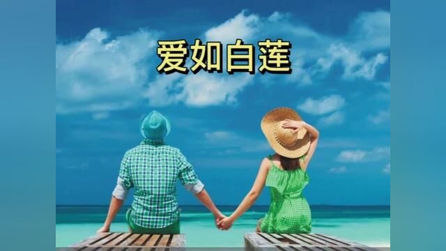 爱情是什么?#创作灵感 #聊天记录 #情感 #家庭 #爱情