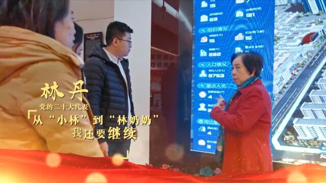 叶玲:让人民生活幸福,是“国之大者”