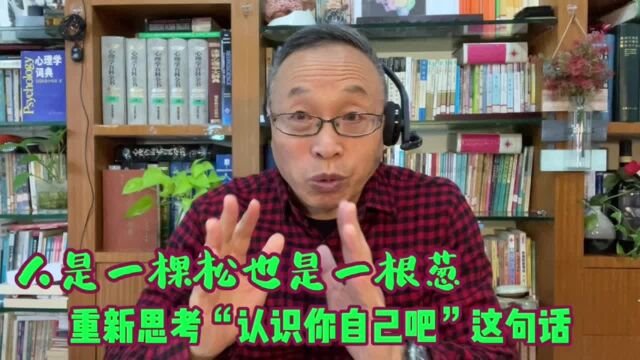 重新思考“认识你自己吧”这句话:人是一棵松还是一根葱?