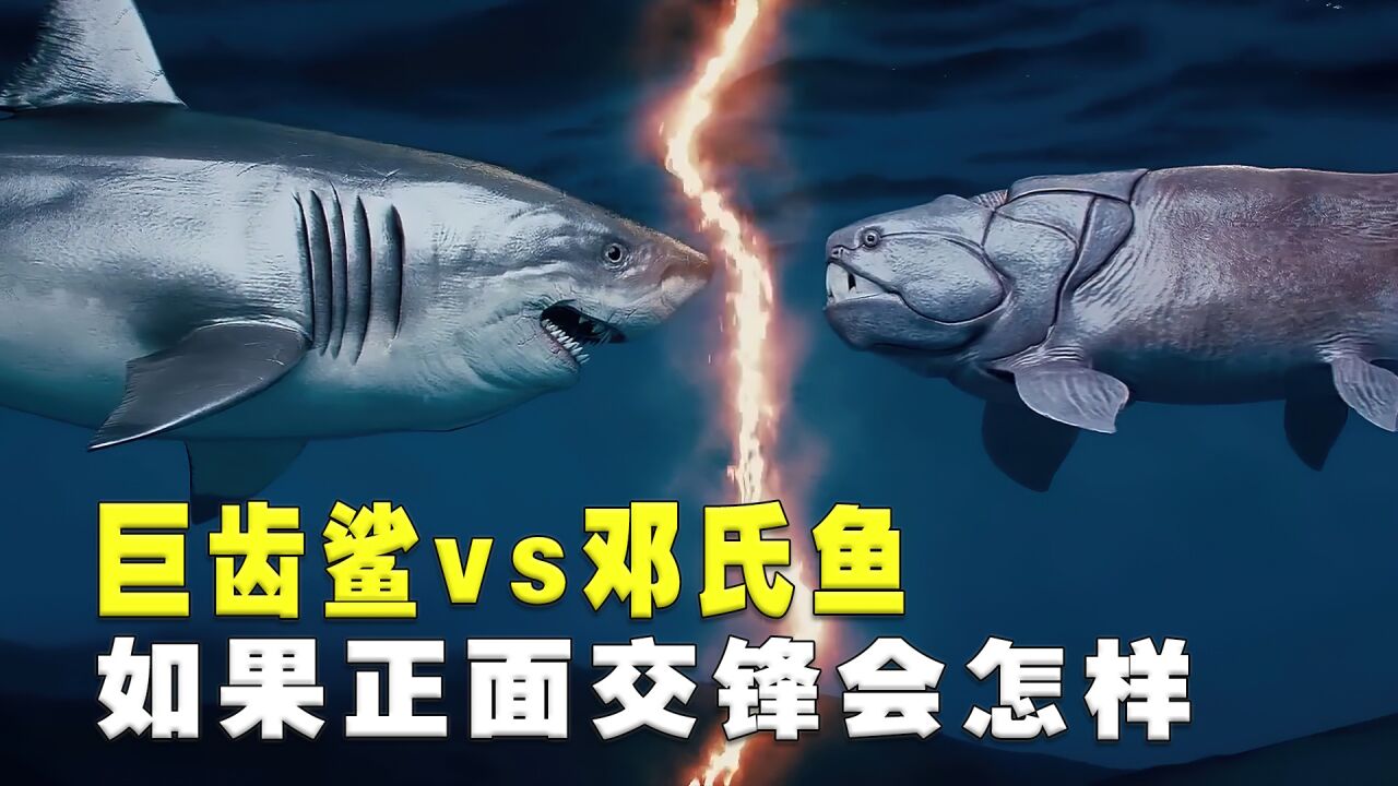 邓氏鱼如何杀死巨齿鲨图片