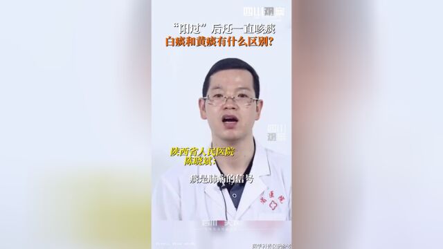 咳出白痰和黄痰有什么区别 6招教你轻松排