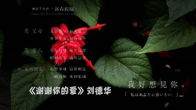 《谢谢你的爱》刘德华|分享歌曲|