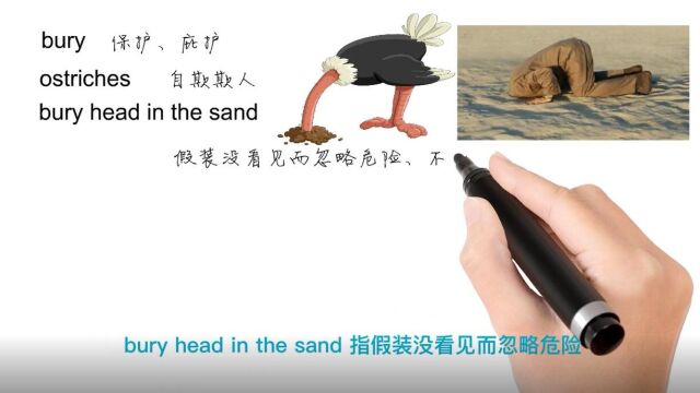 英语思维解密,为什么bury head in the sand表示拒绝处理不愉快的事情,轻松学英语