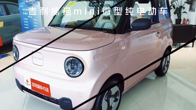 熊猫新物种,吉利首款微型车熊猫mini