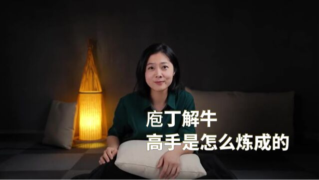 庖丁解牛,高手是怎么炼成的?