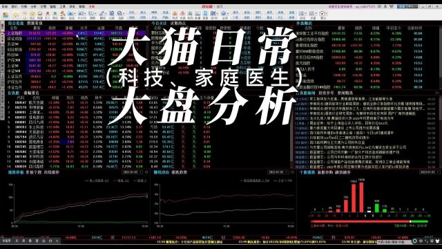 1月3日大猫日常大盘分析下之科技、家庭医生