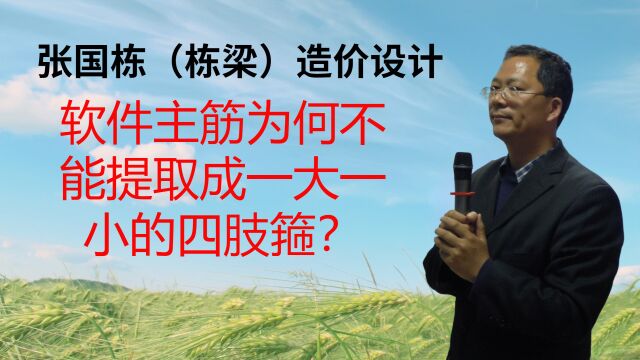 张国栋(栋梁)造价设计:软件主筋为何不能提取成一大一小的四肢箍?