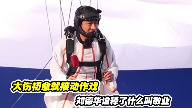 侠盗联盟:大伤初愈就接动作戏,刘德华诠释了什么叫敬业