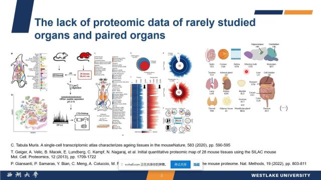 欧米直播 | WeOmics  O17  微量样本前处理技术详解 陆恬  PCT在小鼠各组织器官中的应用