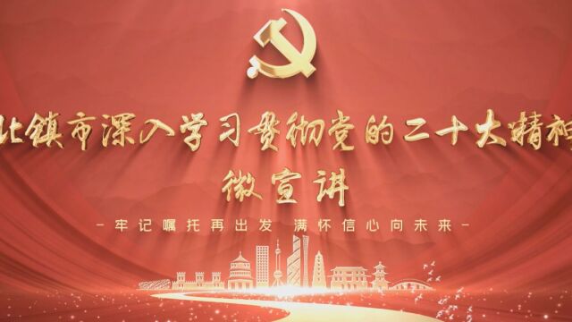 北镇市深入学习贯彻党的二十大精神微宣讲——曹阳阳