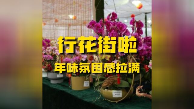 行花街、走大运!年味氛围感拉满,还有花卉藏宝图带你买年花