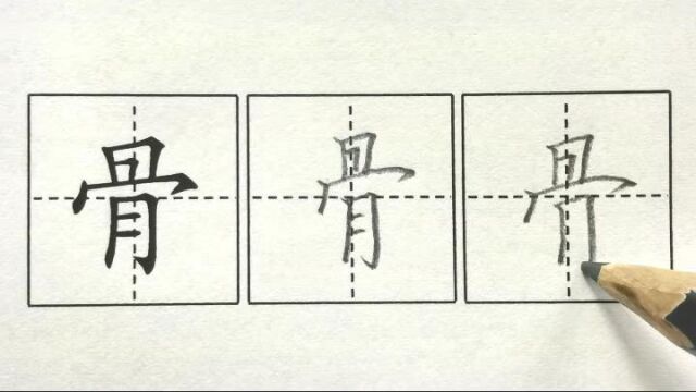 骨,二下识字3“贝”的故事