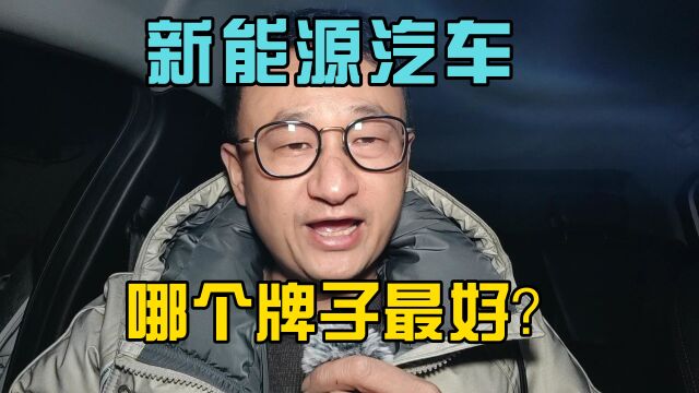 新能源汽车哪个牌子最好?