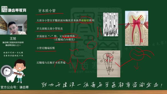 谦齿寒2023起航轮年口腔执业医师资格——口腔组织病理学