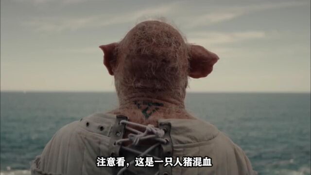 悬疑惊悚《人猪混血》:第一只人与猪的混血诞生,器官移植之福?