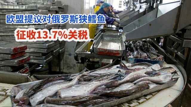 欧盟提议对俄罗斯狭鳕鱼征收13.7%关税,中国市场或成其救命稻草