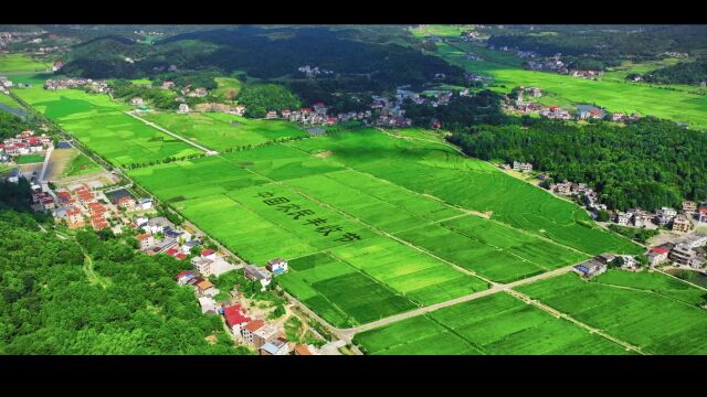 船山故里,传奇衡阳,到衡阳县感受独特湖湘文化