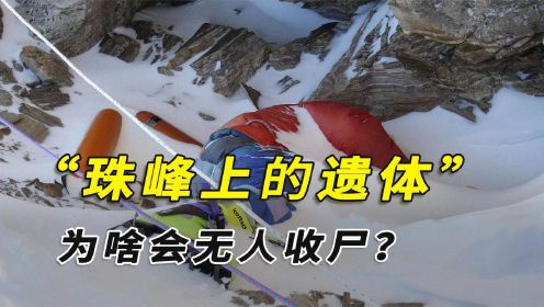 珠峰上有300多具遗体，全都有名有姓，为啥没人帮他们收尸？