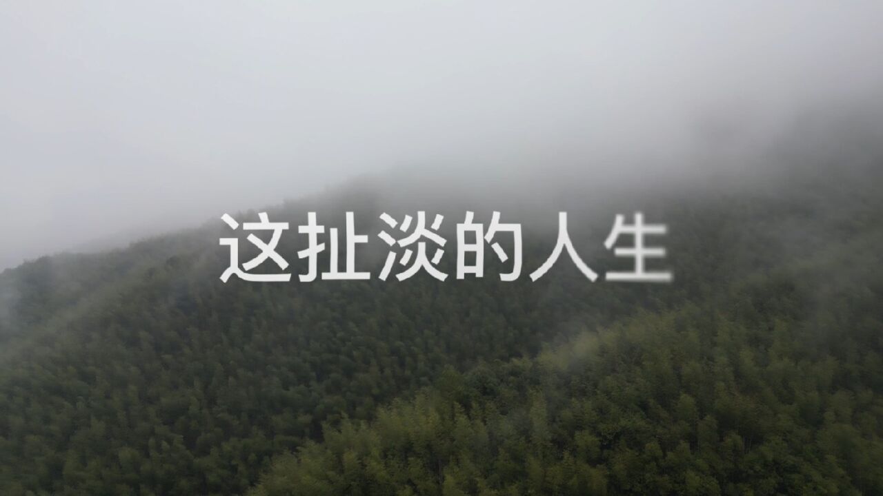 扯淡的人生(扯淡的人生下一句怎么说)