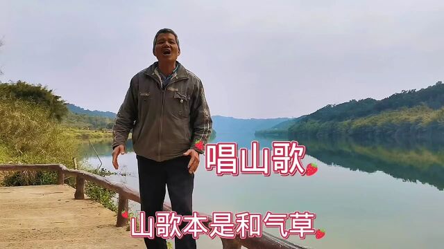 传承千年山歌文化,山歌本是和气草!