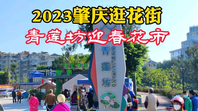 2023新春花市,肇庆端州青莲坊迎春花街,年29逛花街买年货过大年