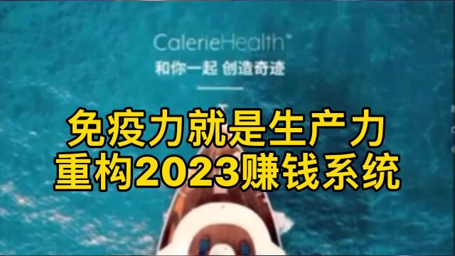 重构2023赚钱系统(自主创业者首选)