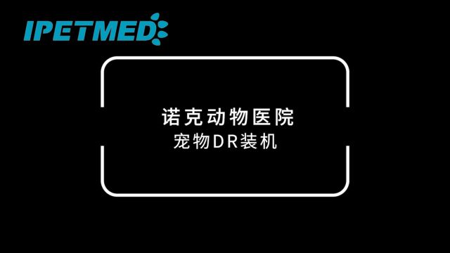 诺克动物医院装机宜宠DR:让宠物健康管理升级