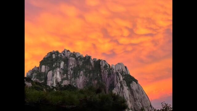 总要来一趟黄山吧 来过之后 你才能体会到徐霞客说的“登黄山 天下无山”