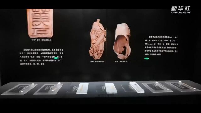 “二十世纪初中国古文献四大发现展”亮相国家典籍博物馆