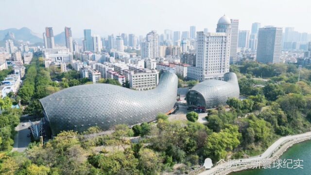 广西高端商场定位奢侈品,如今却卖烤串与螺蛳粉,客流稀少仍营业