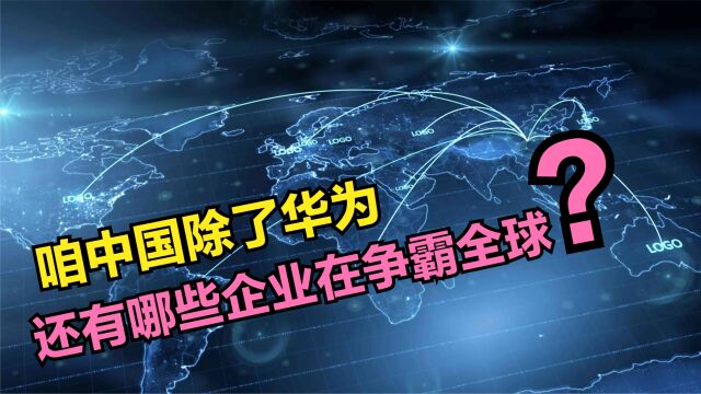 除了华为,中国还有哪些“民营企业”在争霸全球?一起来数数看